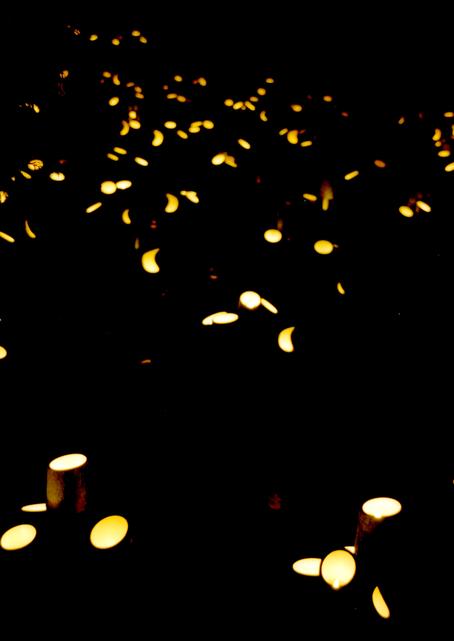 Une rivière de lanternes en bambou, durant le festival Hanatōro au parc Maruyama.