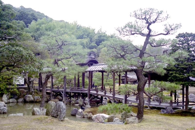 Les jardins du temple Kodai-ji.