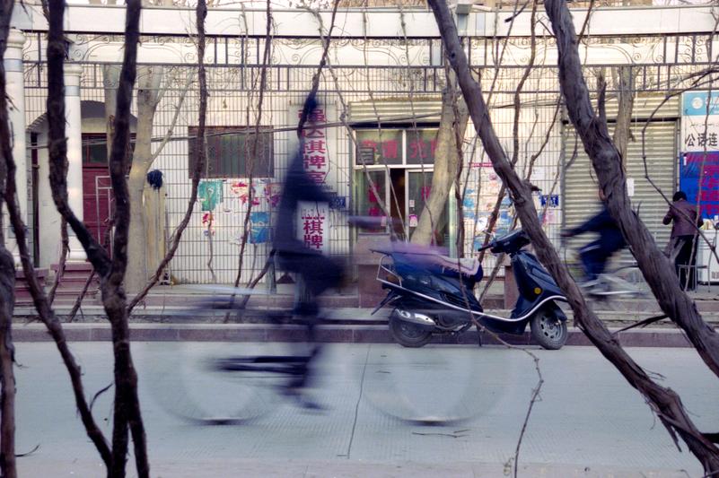 Un homme passe à bicyclette sous les treillis de vigne.