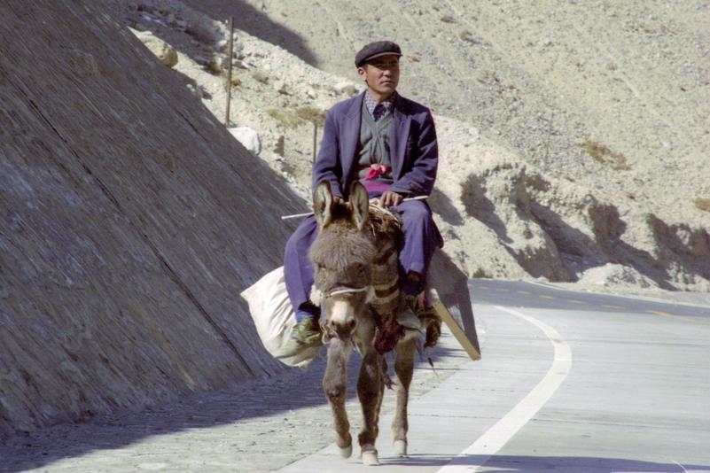Un homme voyage à dos d'âne sur la route G314.