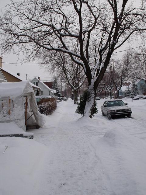 La rue Théodore recouverte d'une couche de neige.