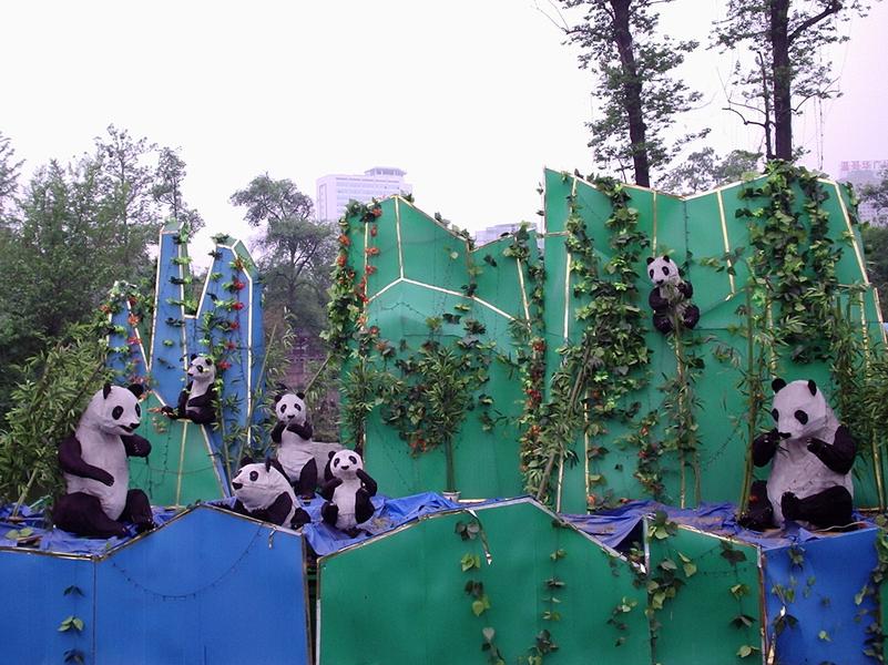 Des pandas lanternes.